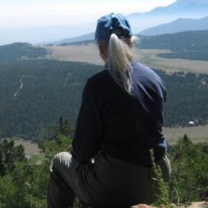 Reflection On A Mountain Top Or In a Swing In The Woods Image